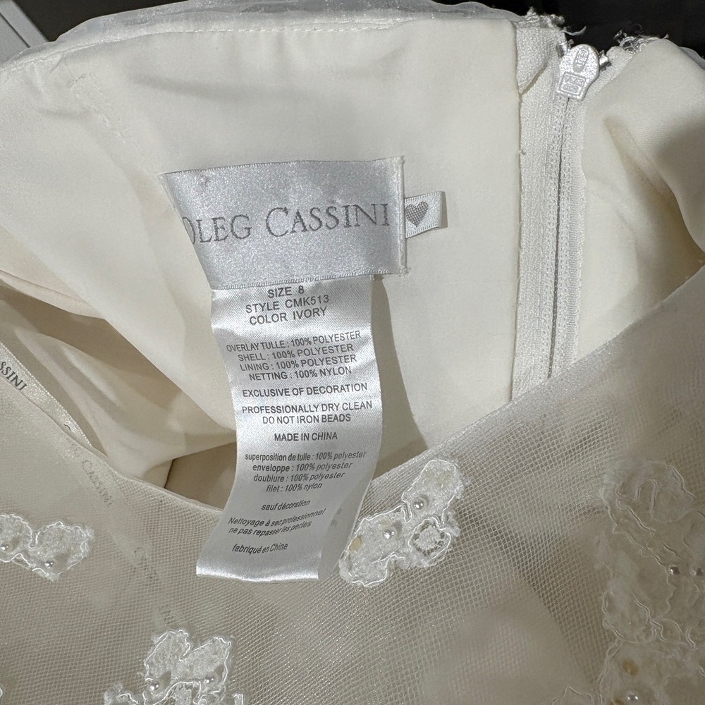 Ivory Lace A-Line Dress with Sheer Cap Sleeves - Picture 6 of 6